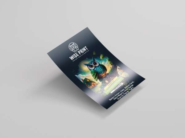 Flyer